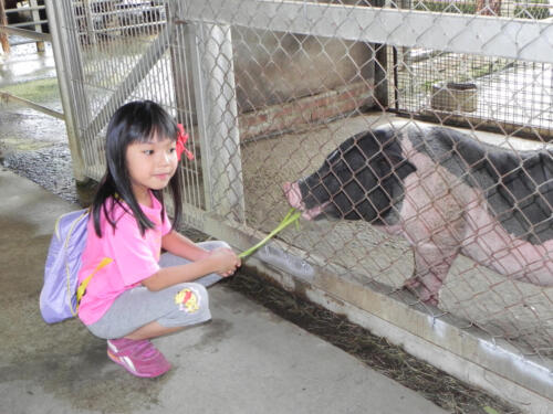 DSCN0703a