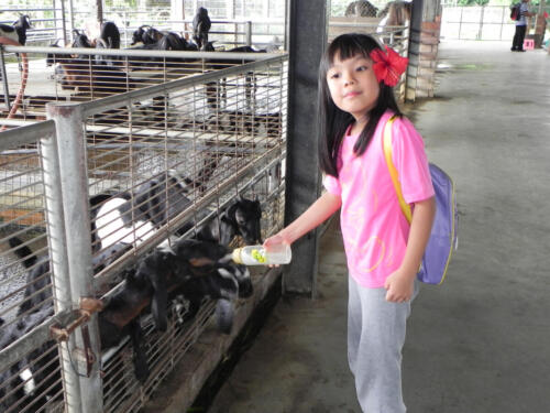 DSCN0705a