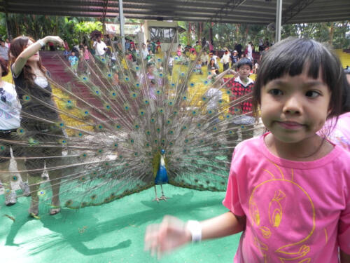 DSCN1785a