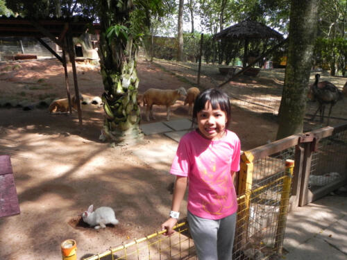 DSCN1819a