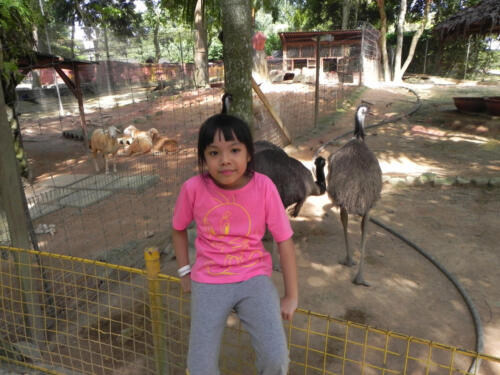 DSCN1820a