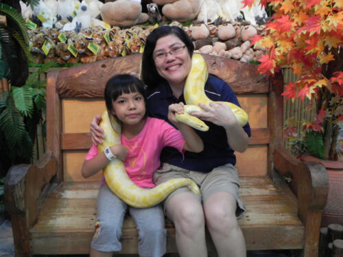 DSCN1873a