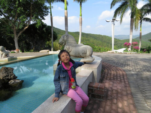IMG 0771a