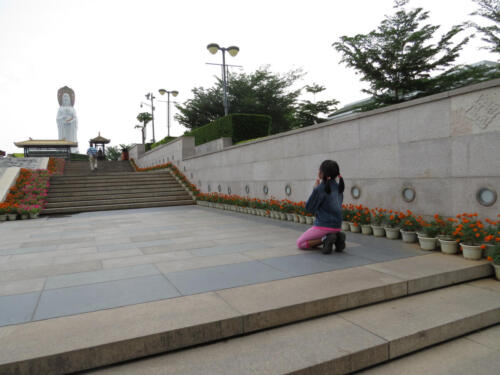IMG 0863a