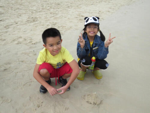 IMG 0950a
