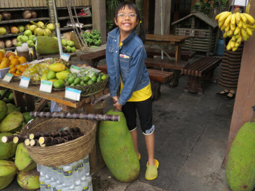 IMG 0962a