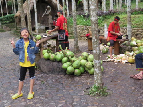 IMG 0987a