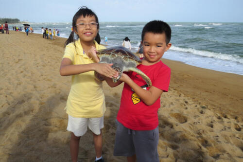 IMG 1409a